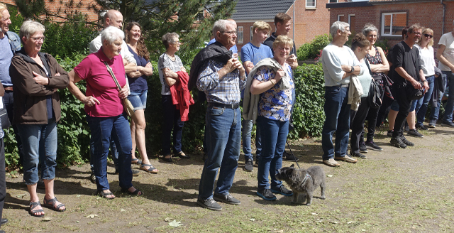 Stadtführung, Bad Wonder